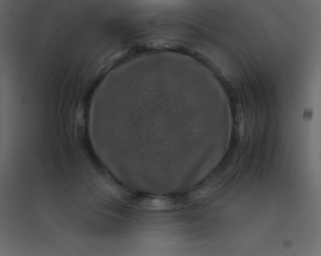 X0000094950506200712131625