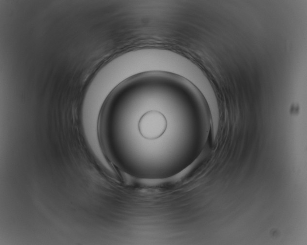 X0000094950508200712131625