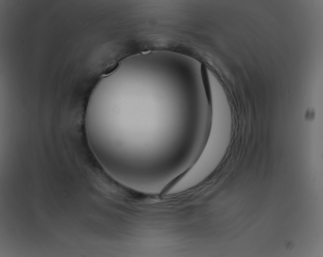 X0000094950509200712131625