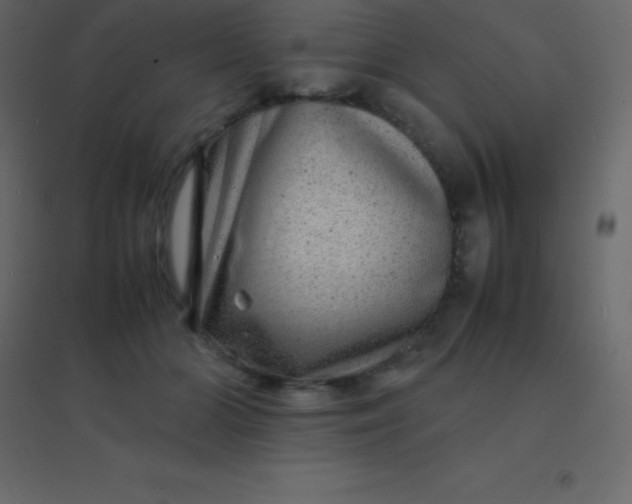 X0000094950510200712131625