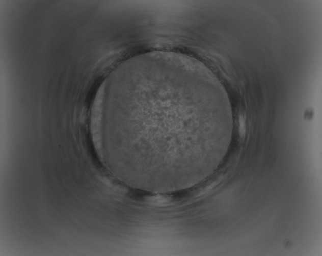 X0000094950511200712131625