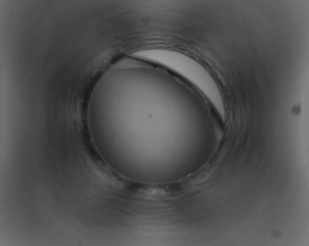 X0000094950512200712131625