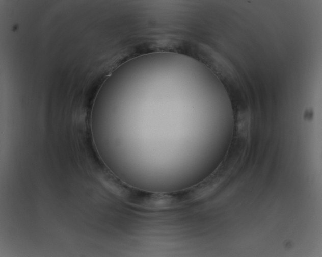 X0000094950514200712131625