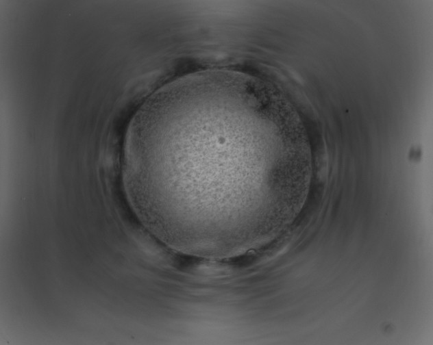 X0000094950515200712131625