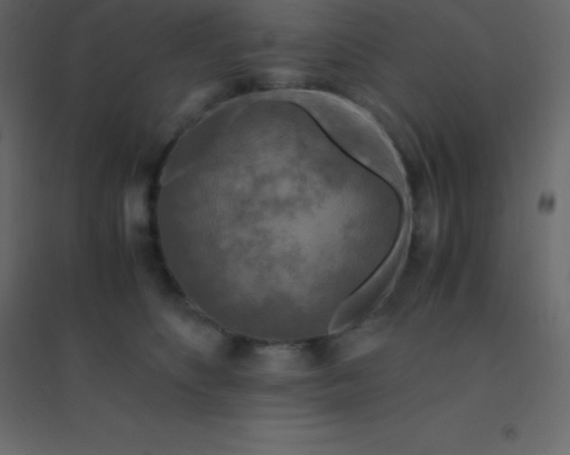 X0000094950516200712131625