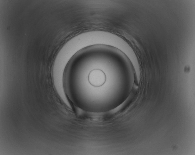 X0000094950517200712131625