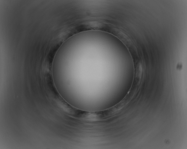 X0000094950518200712131625