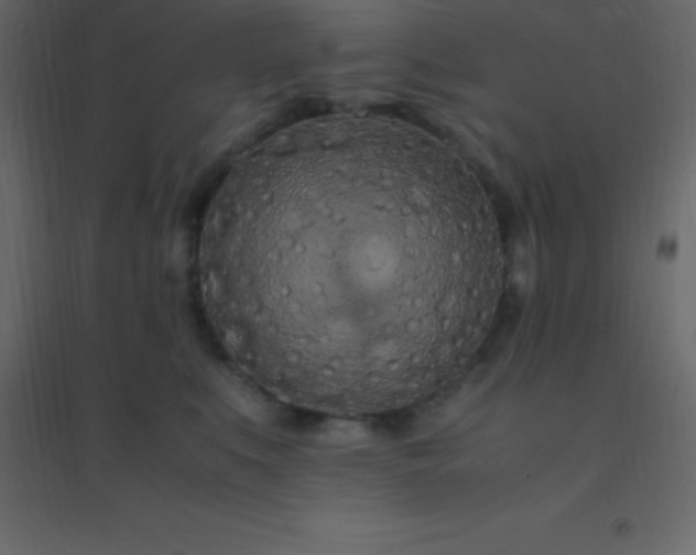 X0000094950519200712131625