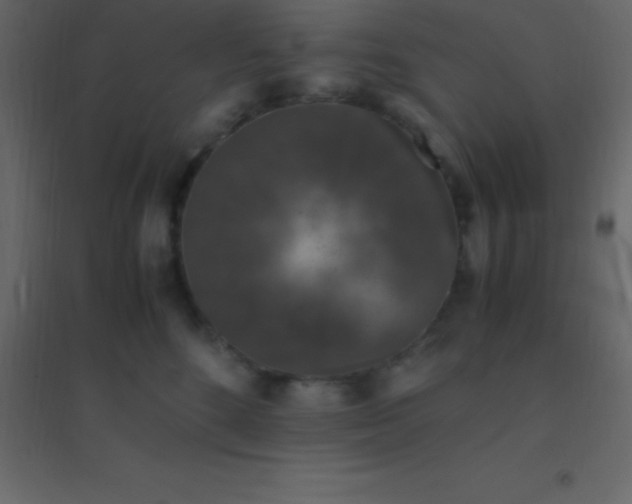 X0000094950520200712131625