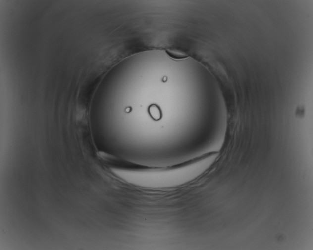 X0000094950521200712131625