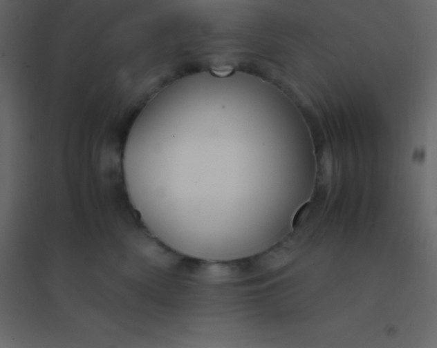 X0000094950522200712131625