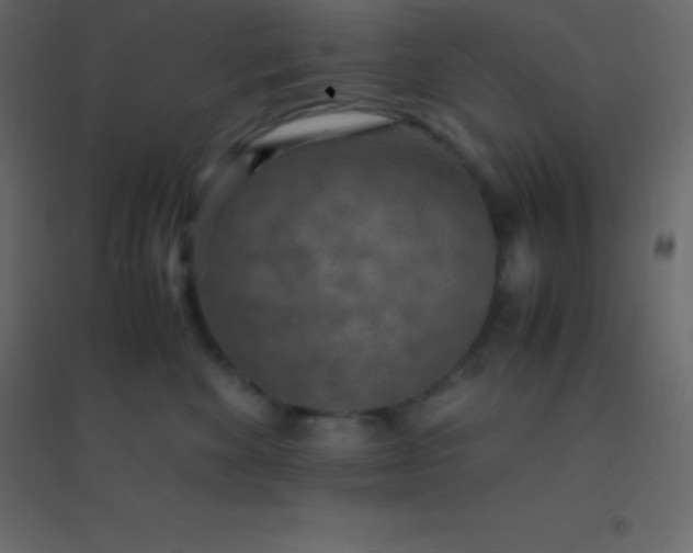 X0000094950524200712131625