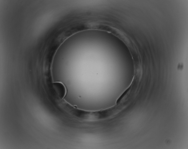 X0000094950525200712131625