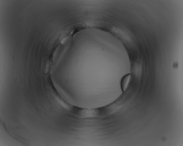 X0000094950526200712131625