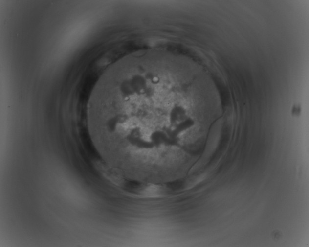 X0000094950527200712131625