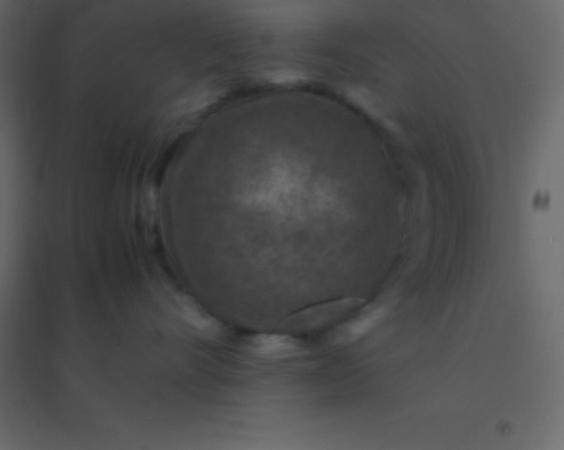 X0000094950528200712131625