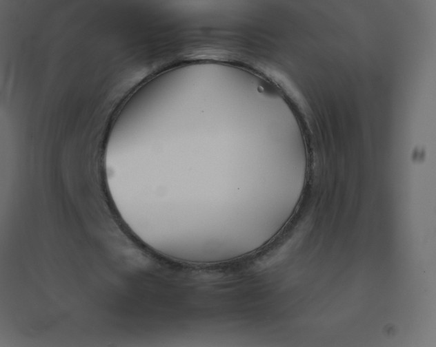 X0000094950529200712131624