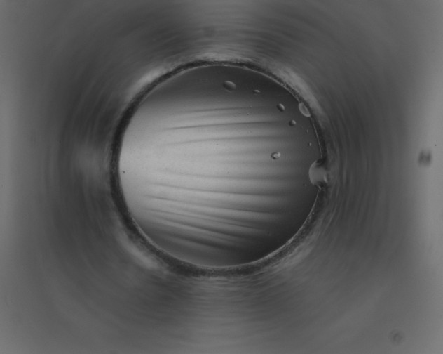 X0000094950530200712131624