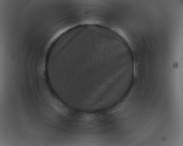 X0000094950531200712131624