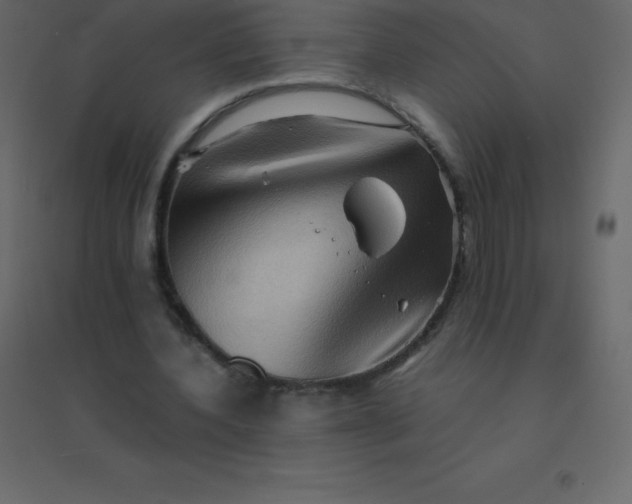 X0000094950532200712131624