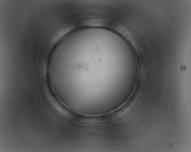 X0000094950533200712131624