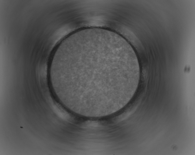 X0000094950534200712131624