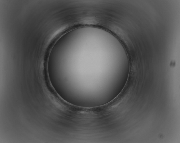 X0000094950535200712131624