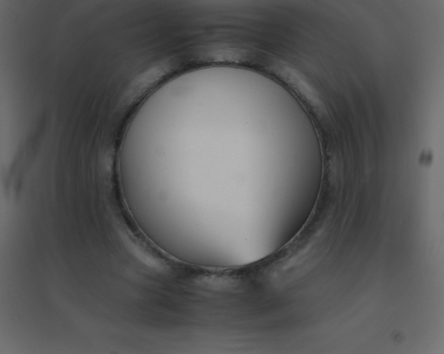 X0000094950537200712131624