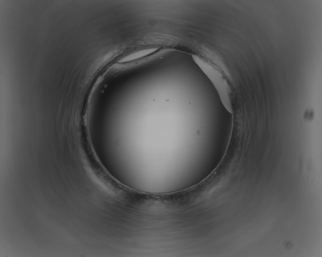 X0000094950538200712131624