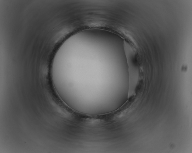 X0000094950539200712131624