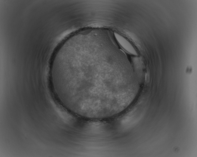 X0000094950540200712131624