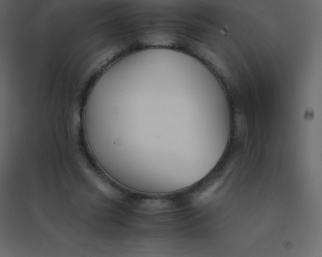 X0000094950541200712131624