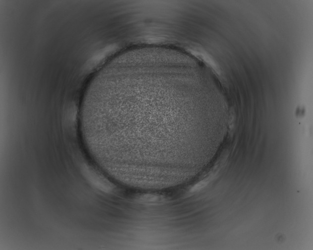 X0000094950542200712131624