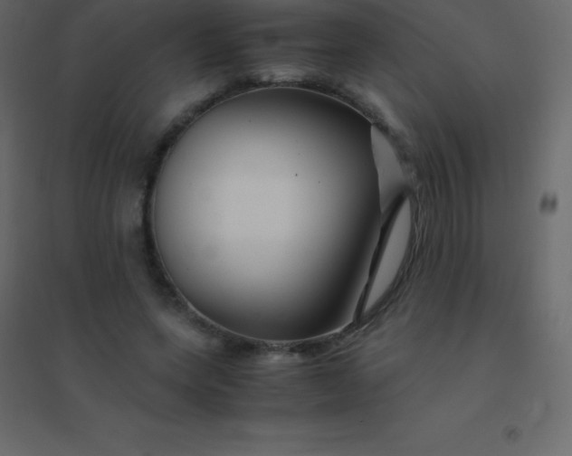 X0000094950543200712131624