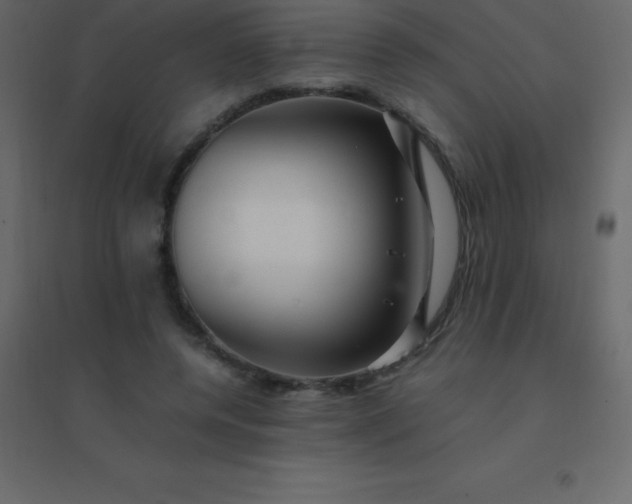 X0000094950544200712131624