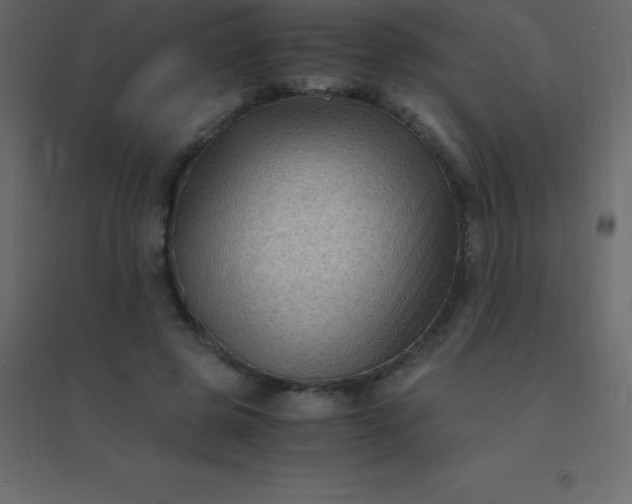 X0000094950545200712131624