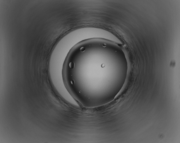 X0000094950546200712131624