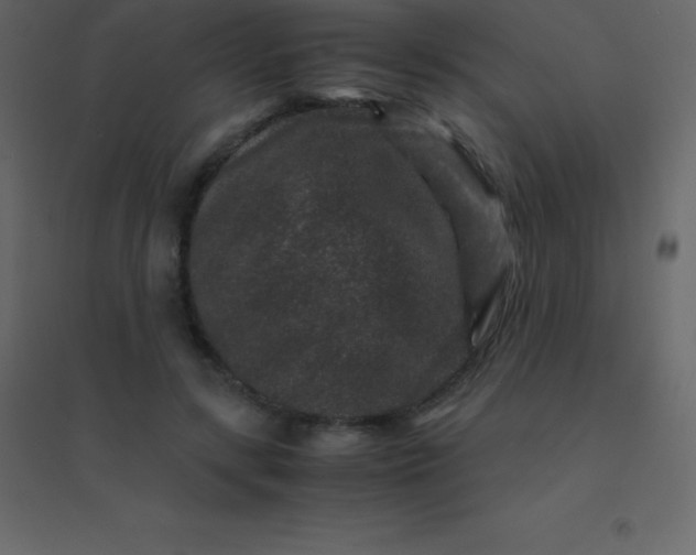 X0000094950547200712131624