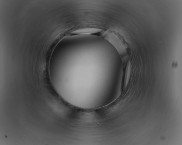 X0000094950548200712131624