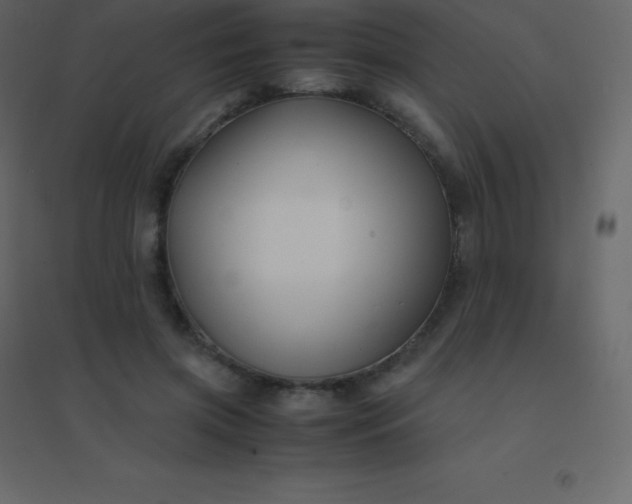 X0000094950549200712131624