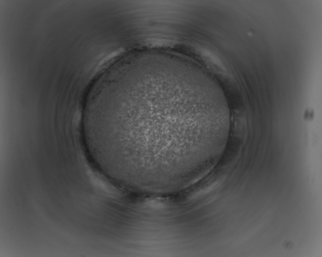 X0000094950550200712131624