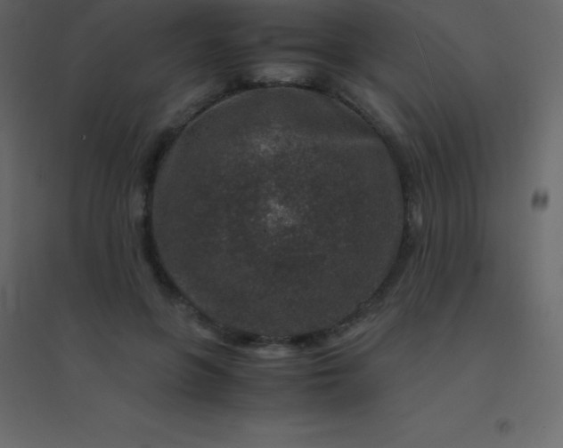 X0000094950551200712131624