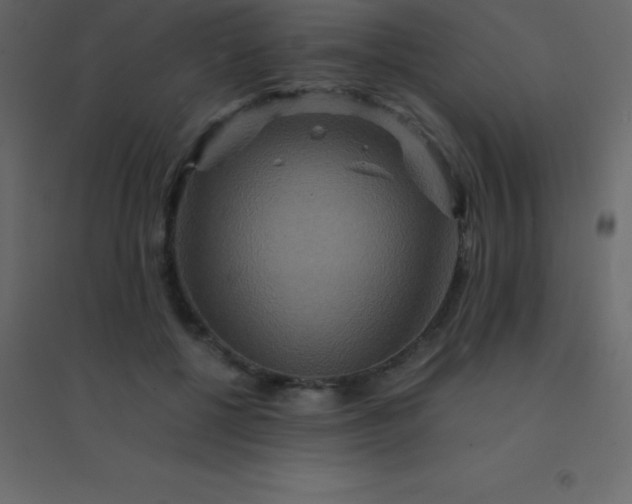 X0000094950552200712131624