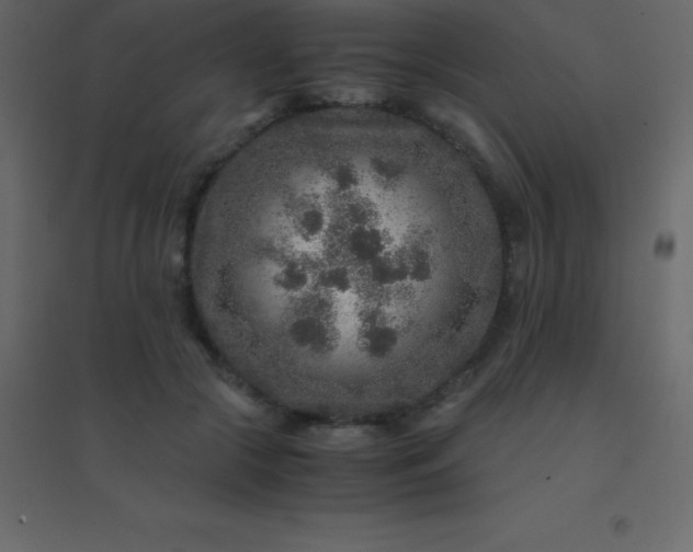 X0000094950553200712131624