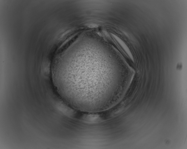 X0000094950554200712131624