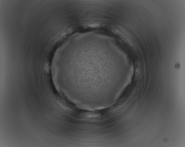 X0000094950555200712131624