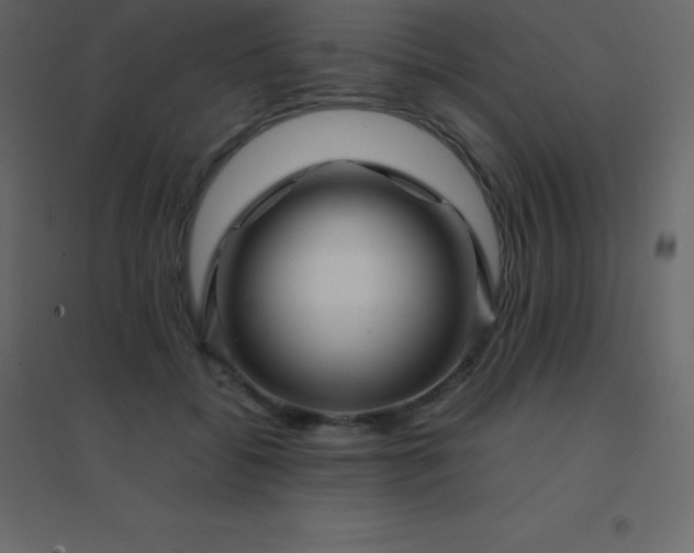 X0000094950556200712131624