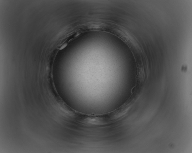 X0000094950557200712131624