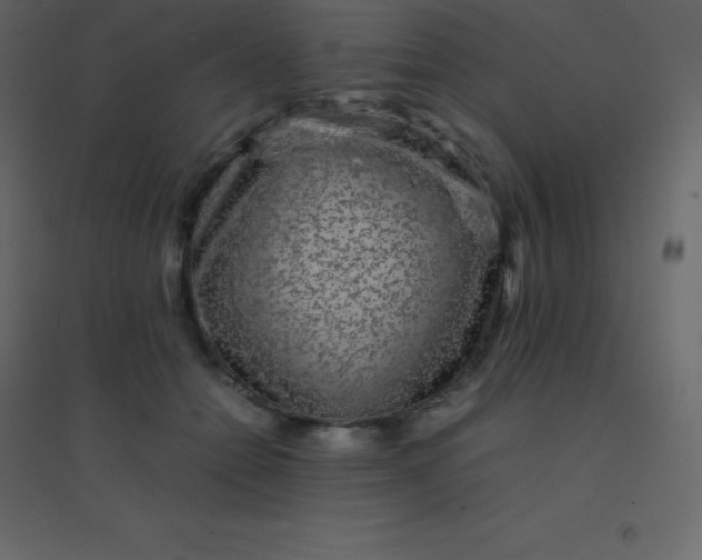 X0000094950558200712131624