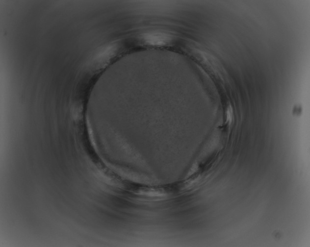 X0000094950559200712131624